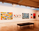 Newcastle Art Gallery