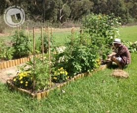 Volunteers in The U Community garden 