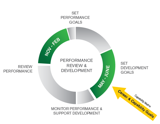 Performance Expectations Frameworks (PEF) / Performance Review and