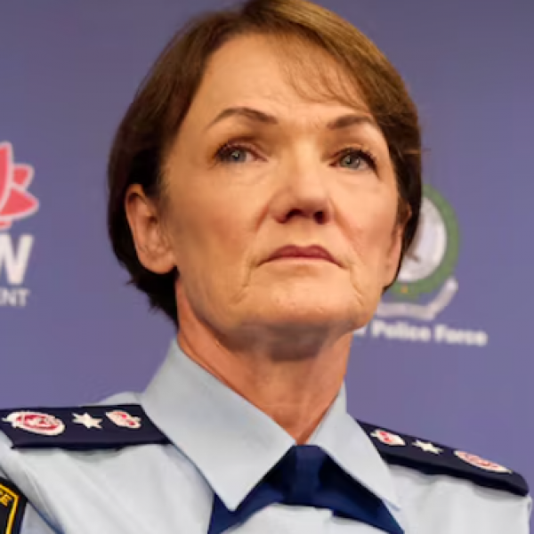 Police Commissioner Karen Webb says officers shouldn't be first responders to some mental health incidents