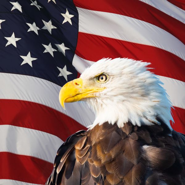 Conservative governments protect more land while socialists and nationalists threaten more species