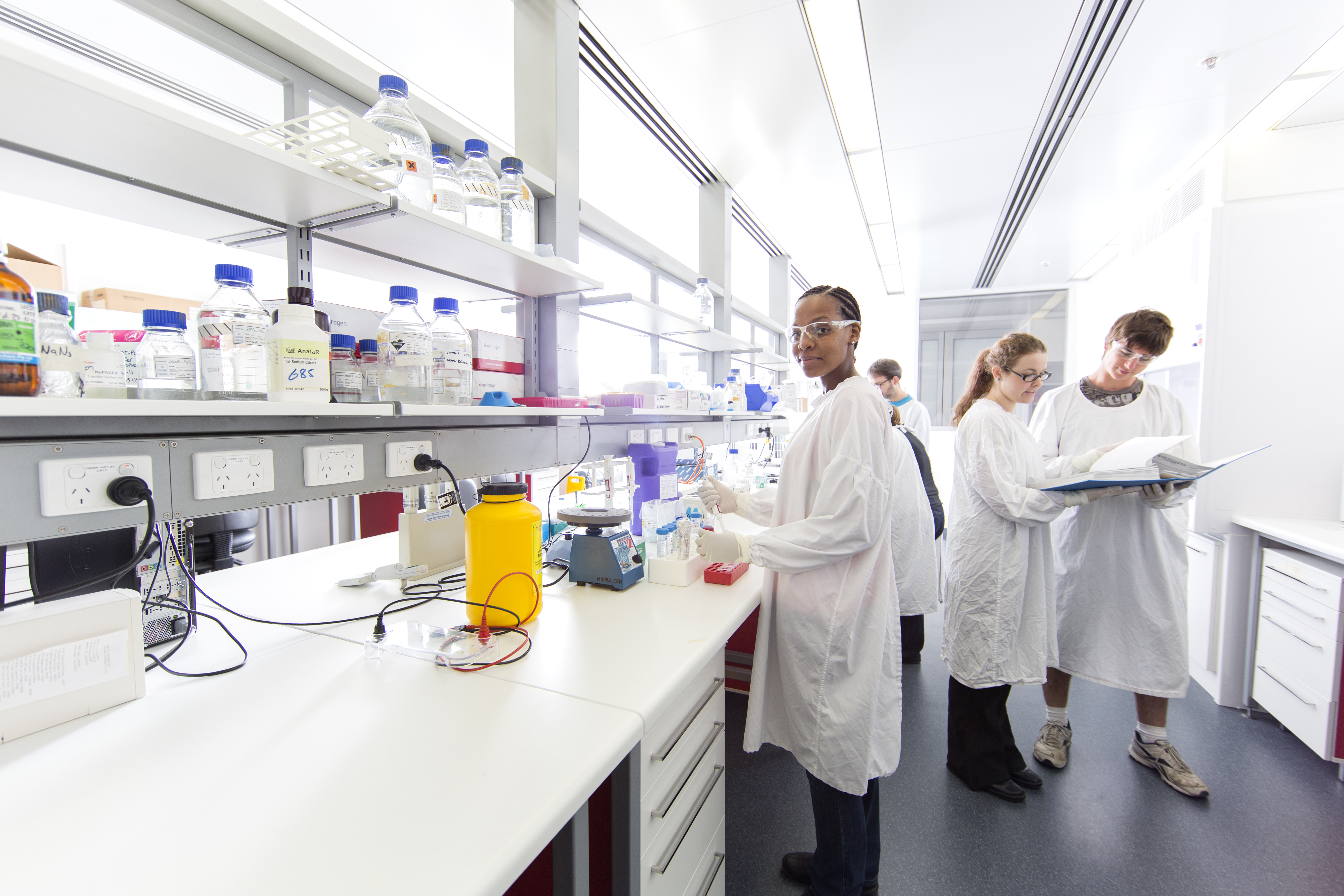 Students in a laboratory session