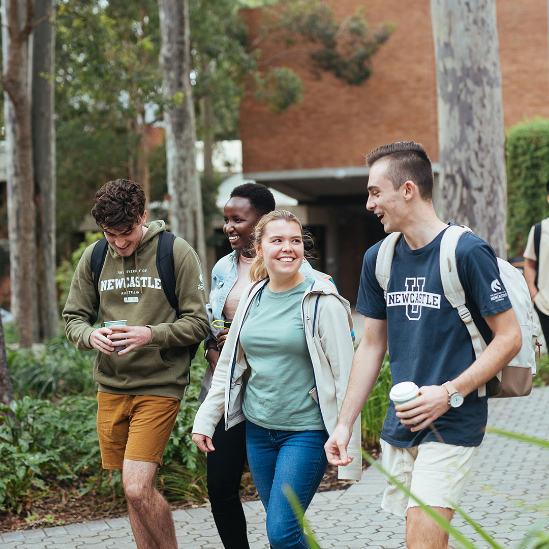 Undergraduate degrees