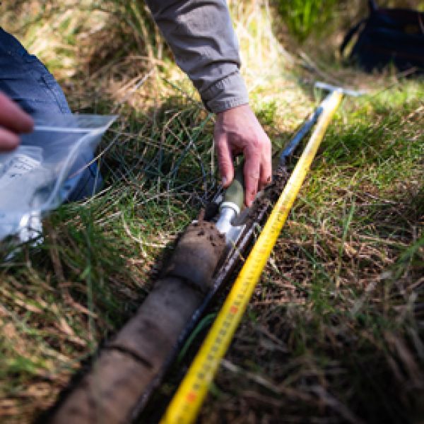 Person with plastic bag, getting a sample of dirt from the ground