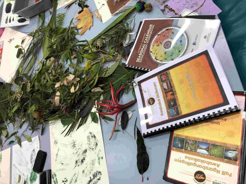 A table with plants, leaves and an Indigenous Australian literature