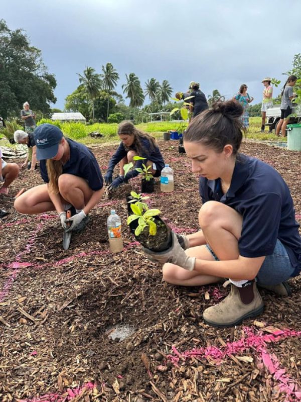Staff and students sit in mulch and plant small plants in the soil.