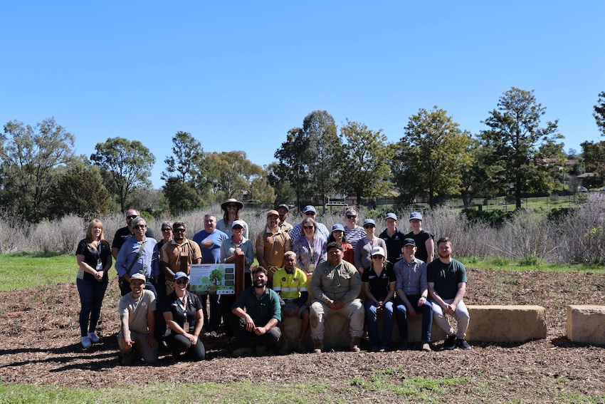 Group photo from Tamworth 'Tiny Forest' initiative
