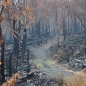 Preparing communities for natural disaster. Preparing communities for natural disasters