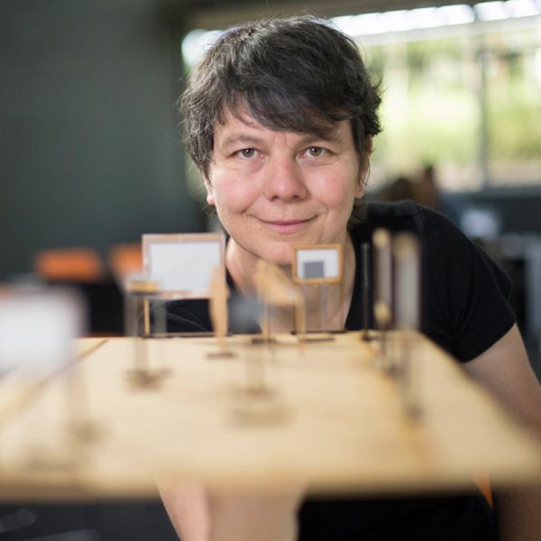 Jane Shadbolt widget Jane Shadbolt