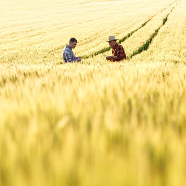 rural suicide prevention. Easter Show Forum: a coalition for action to reduce rural suicide rates