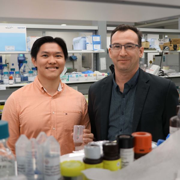 . Brain fertiliser nurtures new hope for stroke survivors