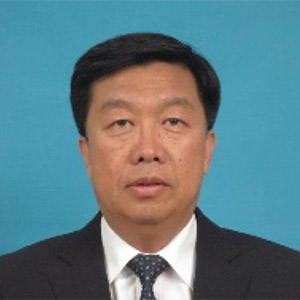 Professor Qingbo Meng