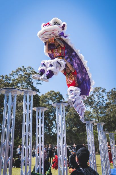 Lion Dancing Lion Dancing