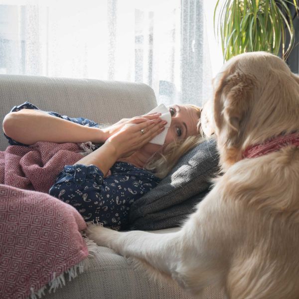 FluTracking. FluTracking identifies huge second Omicron wave