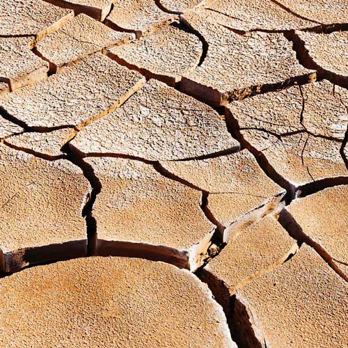 Southern Queensland Northern NSW Drought Resilience Adoption & Innovation Hub