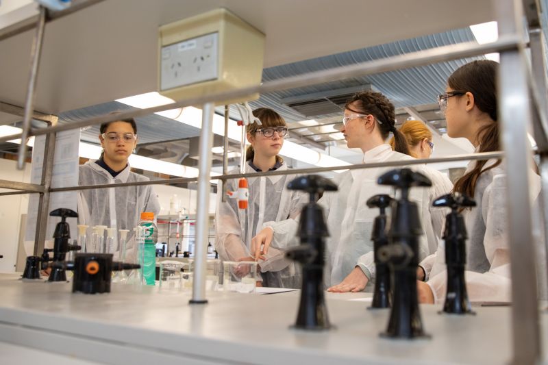 The HunterWiSE program offers girls a chance to explore the field of STEM in a supported environment