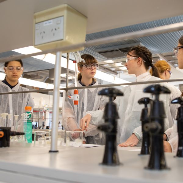 The HunterWiSE program offers girls a chance to explore the field of STEM in a supported environment