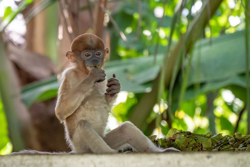 Environmental Science and Management Student Alicia Watt is in her third year of studies and said the trip was an incredible experience and she hopes to return on an internship basis. 