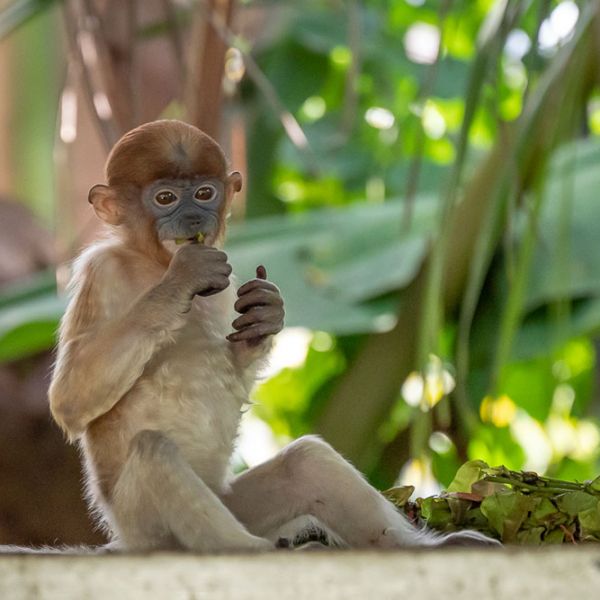 Environmental Science and Management Student Alicia Watt is in her third year of studies and said the trip was an incredible experience and she hopes to return on an internship basis. 