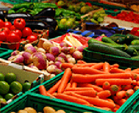 Food and Innovation Cluster. Food Innovation Cluster