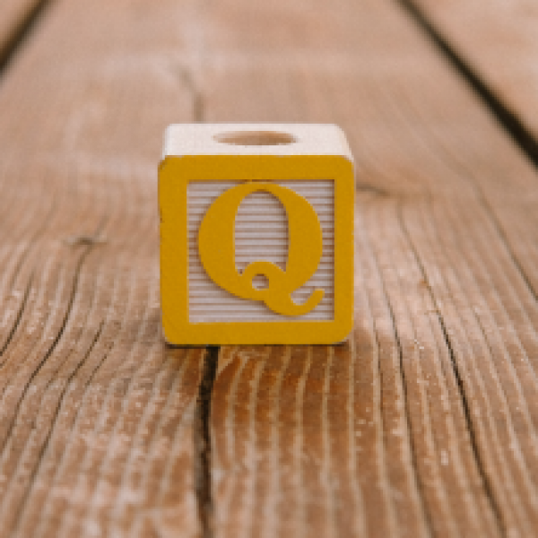 . Potential Career Paths and Social Justice Opportunities Alumni Q&A