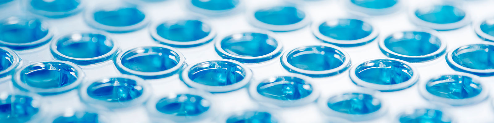 Biological Mass Spectrometry