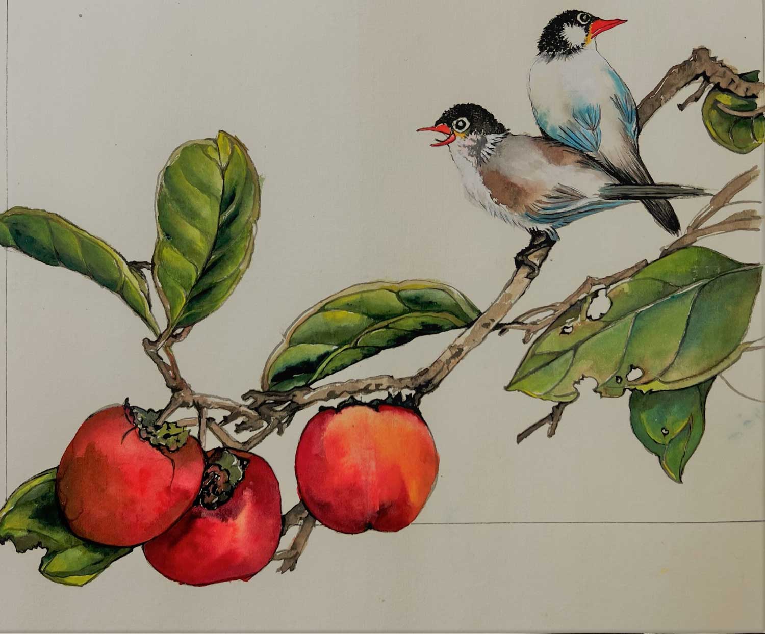 A traditional Chinese-style painting of two birds perched on a branch of an apple tree. The birds are depicted in black, blue, white, and brown, with vibrant red beaks that match the color of the ripe apples on the branch. The painting is done on Chinese painting paper, with delicate and precise brushstrokes capturing the details of the birds and the apple tree branch. The birds are depicted in a natural and relaxed pose, with their feathers and markings rendered in intricate detail. The background is left largely blank, emphasizing the simplicity and elegance of the composition. Overall, the painting exudes a sense of tranquility and balance, capturing the beauty of nature in a traditional and timeless way.