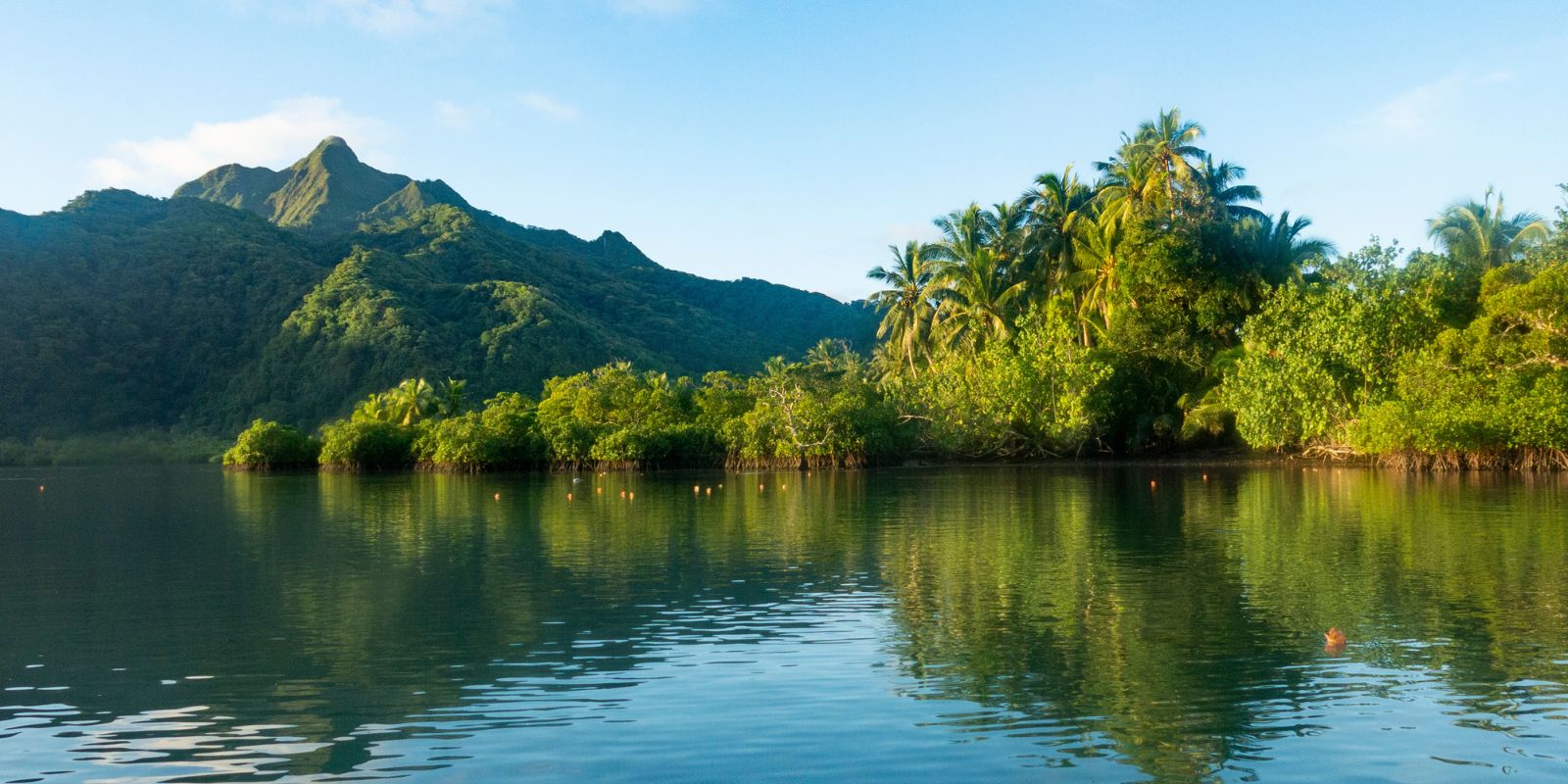 Supporting environmental sustainability in Samoa