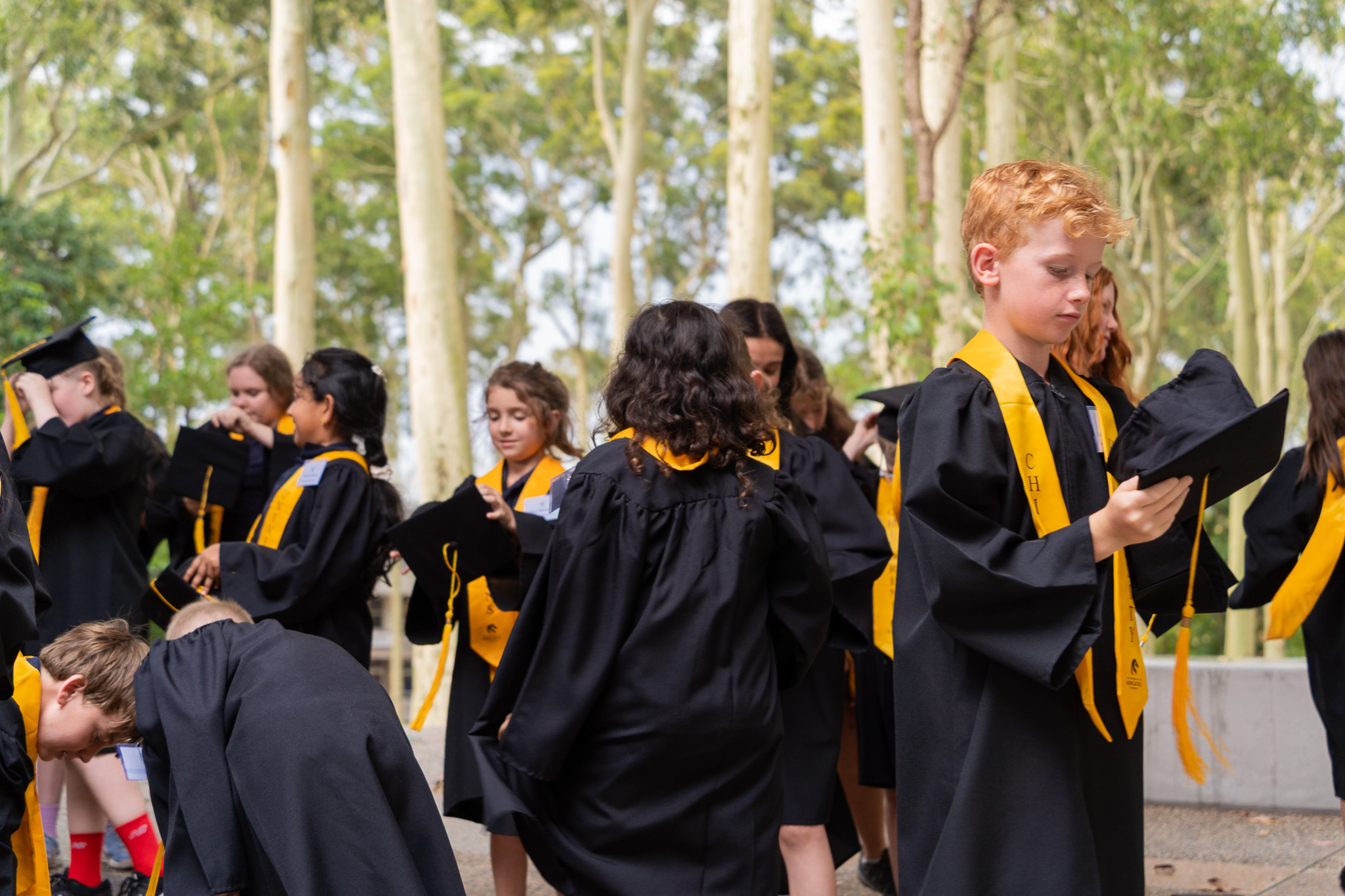 Childrens University Newcastle celebrates 10 years Childrens University Newcastle celebrates 10 years