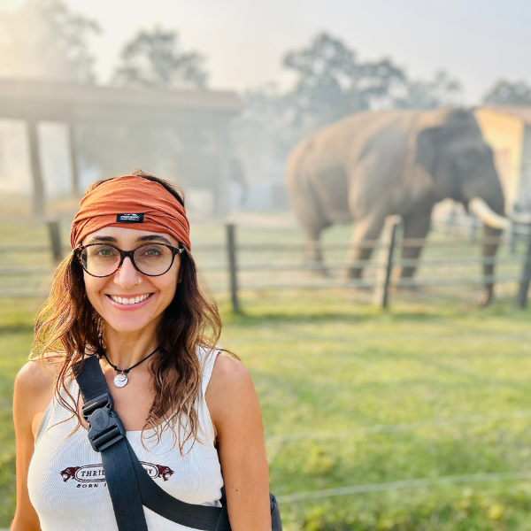 Global Experience Week