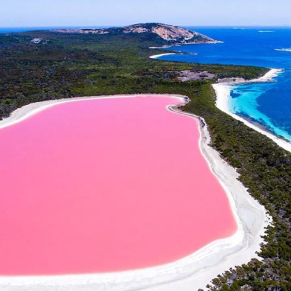 Pink lake