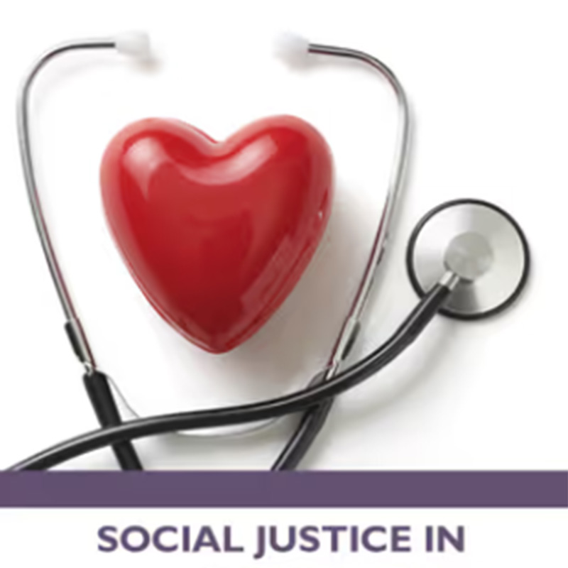 Book cover: Plastic red heart with stethoscope