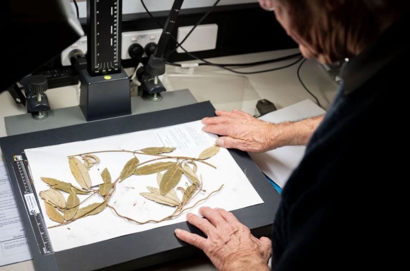 Digitising Collection