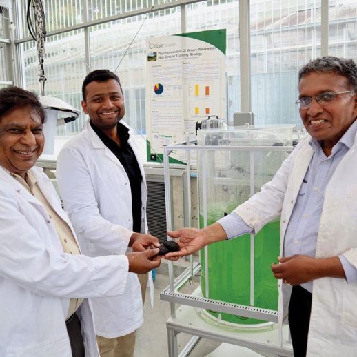 Professor Mallavarapu, Dr Sudharsanam and BioCarbon representative, Dr Muk are developing practical solutions for soil health and sustainable agriculture