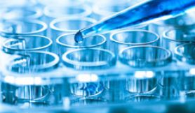 . UON in top 8 of Australian universities for health research