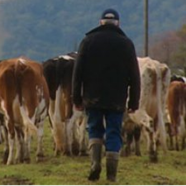 . Industry and Rural Health