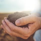 UON to lead new global CRC for High Performance Soils