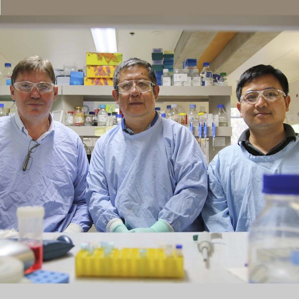 Dr Rick Thorne, Professor Zhang, Dr Jin. Two new pathways expand the horizon for cancer research