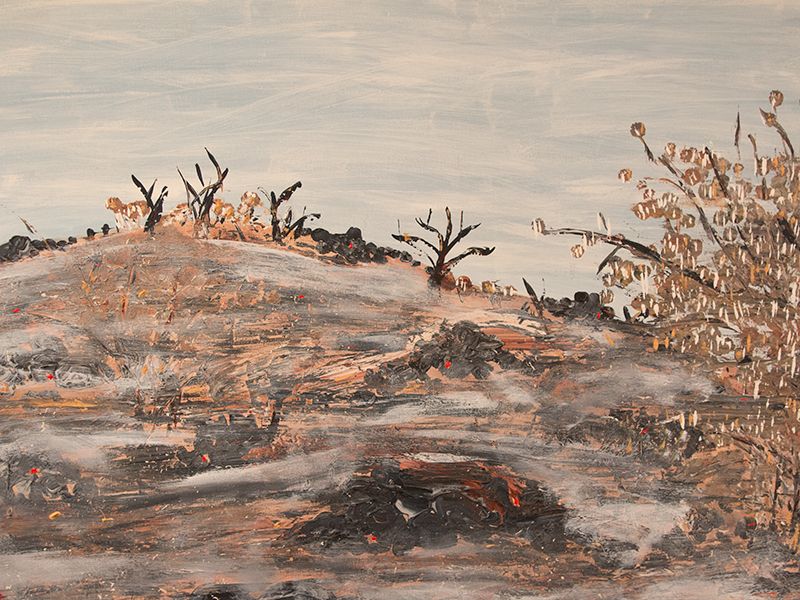 Painting of Mt Narabunda by Paul Munro