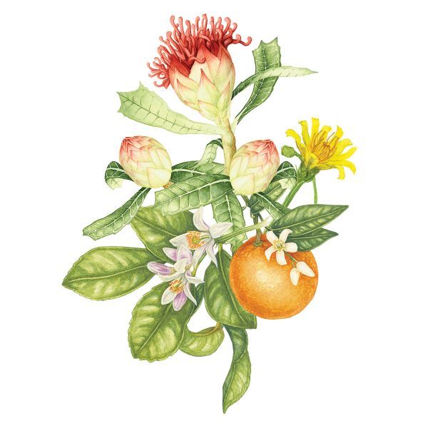 . High honour bestowed on Alumni 