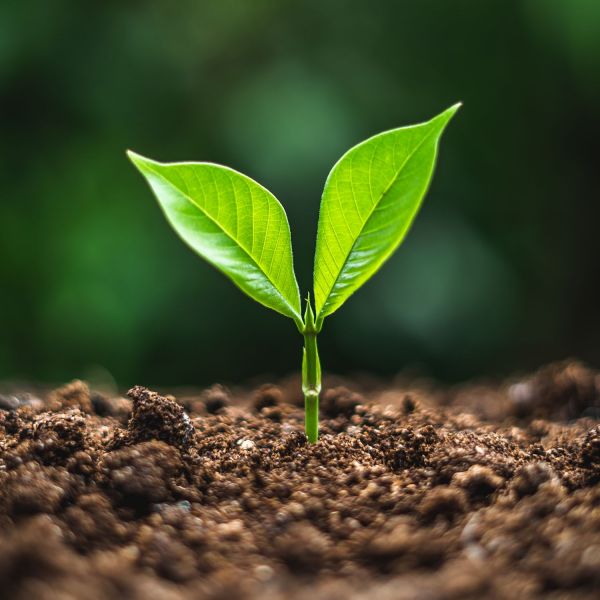 . More than $1.4million awarded to investigate PFAS remediation