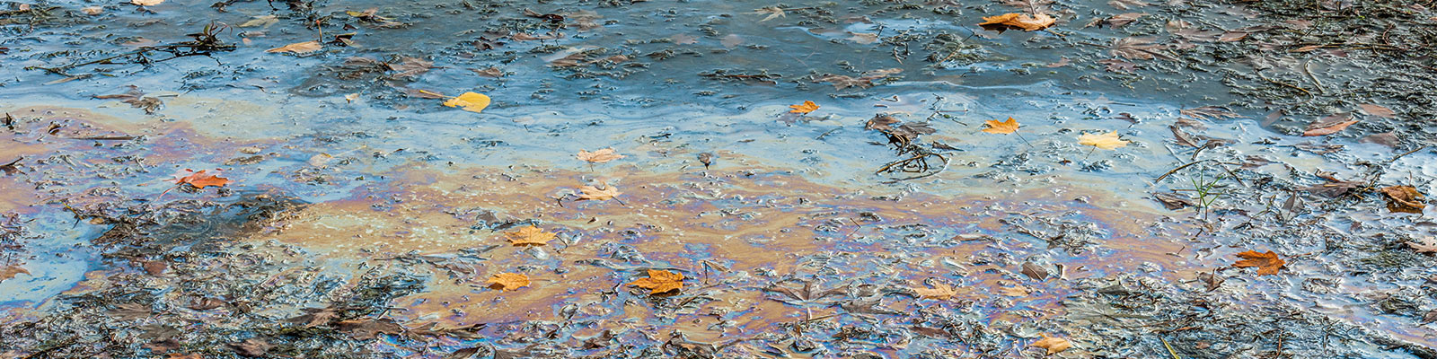 Contaminated site characterisation and remediation (PFAS)