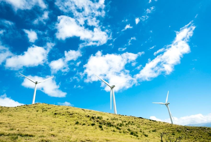 Wind turbines on grassy hill