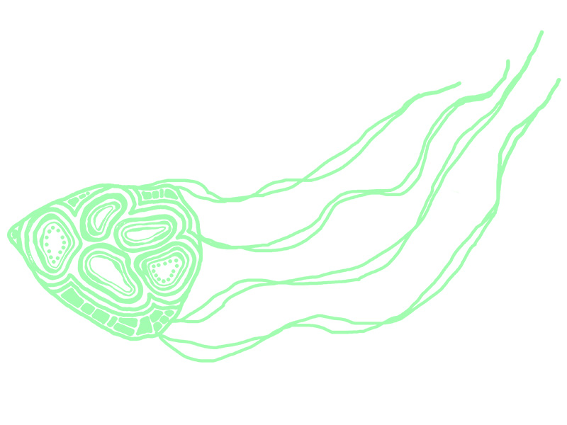 Irukandji design by Jasmine Cracuin