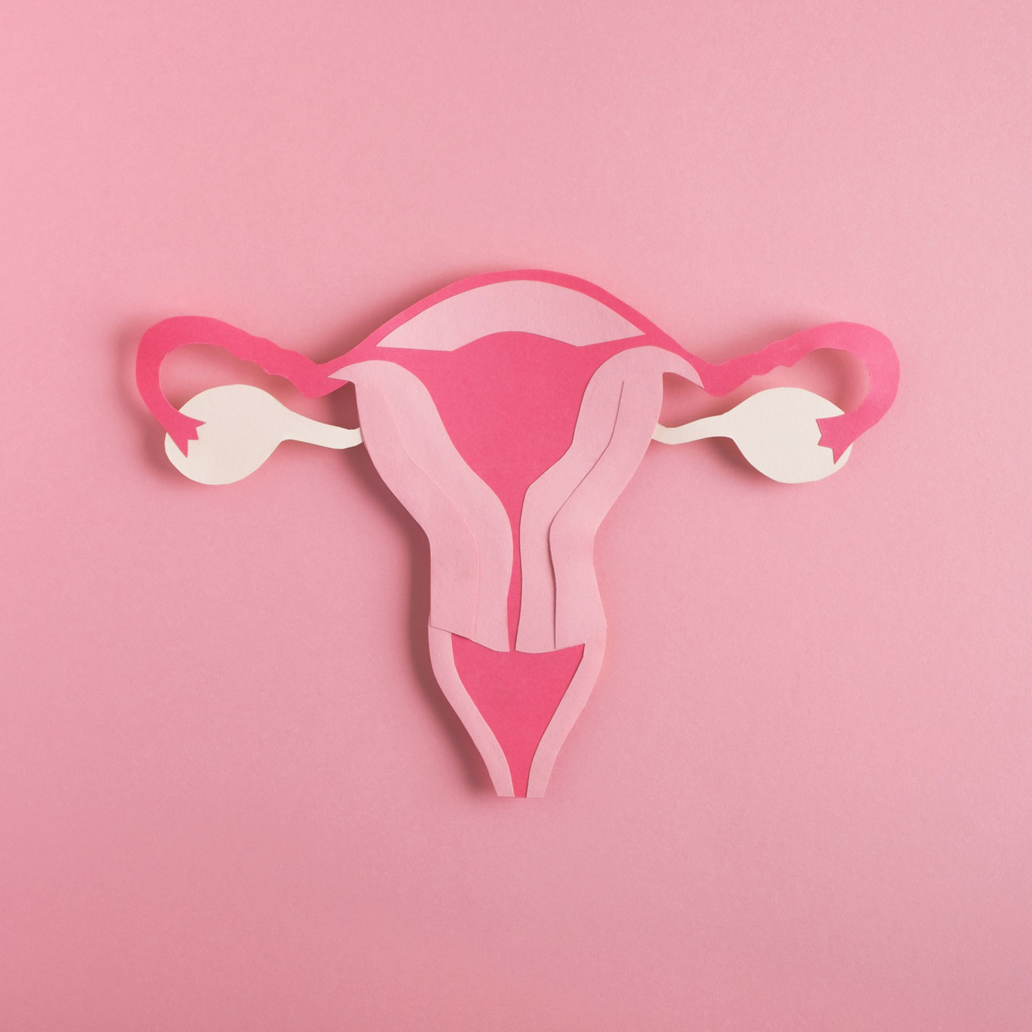 Key to growing natural tissue for female reproductive system reconstruction unlocked