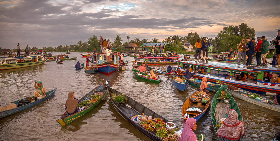 uni students, proboscis monkeys and a rockstar professor make for an unforgettable trip to Borneo, Indonesia. 