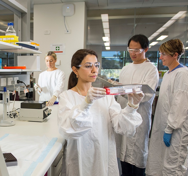 Researchers undertaking experiment