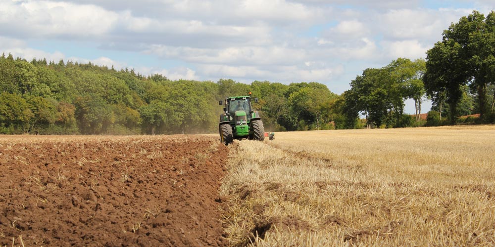 A tractor drives down the middle of a field, the left side has been harvested and the right not.