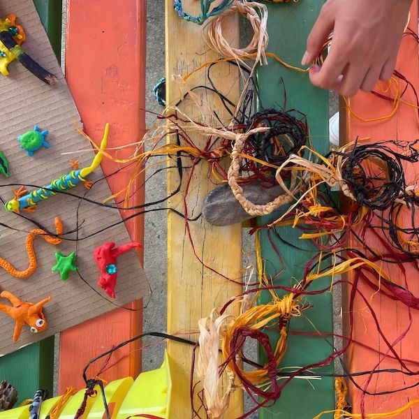 Collaboration with Indigenous Schoolchildren