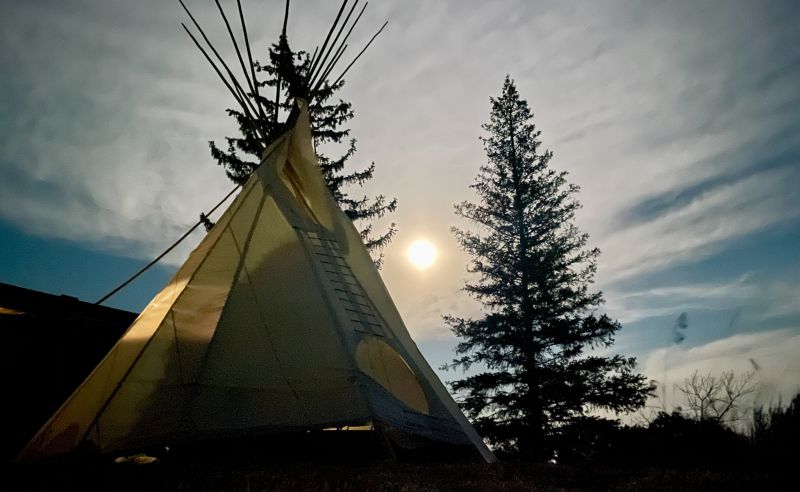 Large white tipi in foreground with pine tree and full moon in the background on dusk.